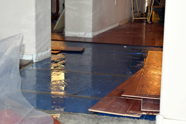 Professional Water Damage technician working in Bentley, MI