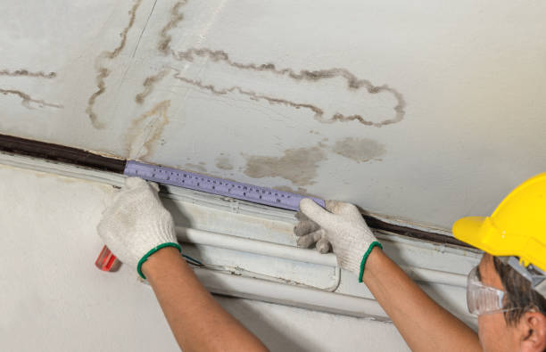 Reliable Water Damage contractor in Bentley, MI by Water Damage Irwin